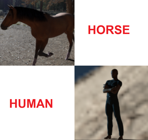 catvdog
